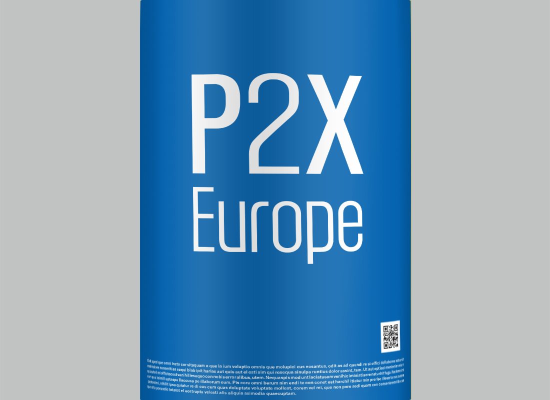 p2x-europe_nd_work